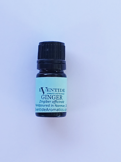 Ginger Essential Oil