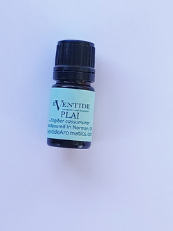 Plai Essential Oil